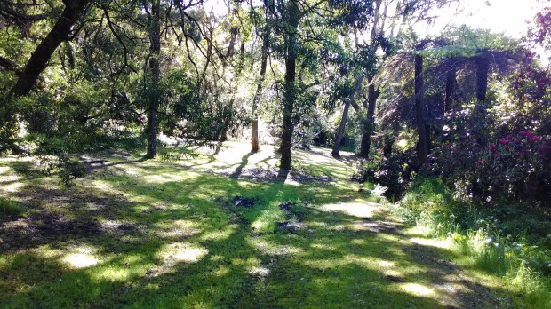 The Walk to the Pool